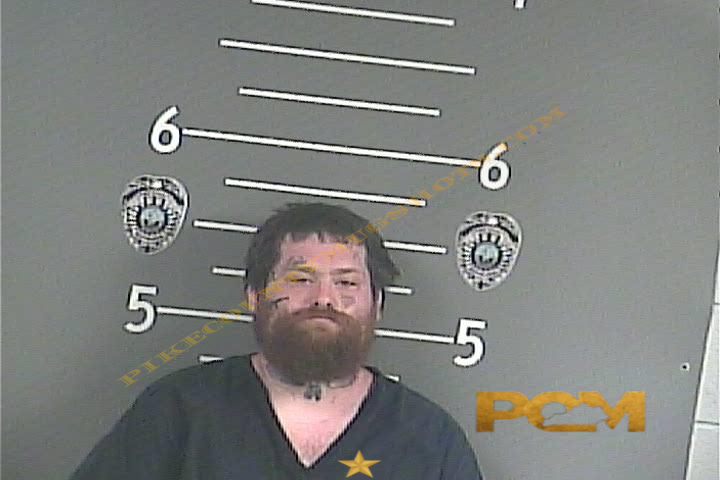 RONNIE N ROBINSON booking photo