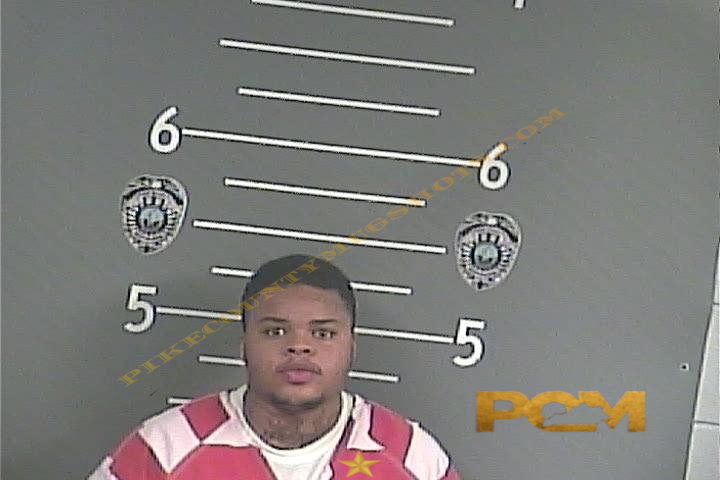NAYTORIA LANE booking photo