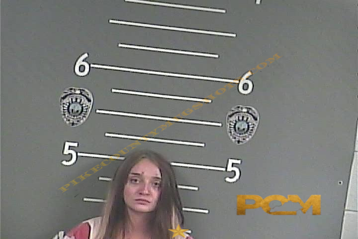 MAKAYLA R CHANEY booking photo