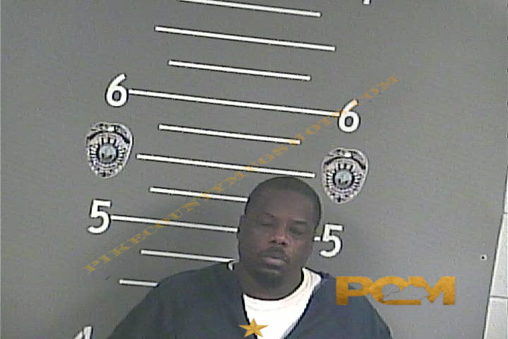 DEANDREA L GRIFFIN booking photo