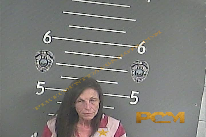 JAYNE A PHILLIPS booking photo