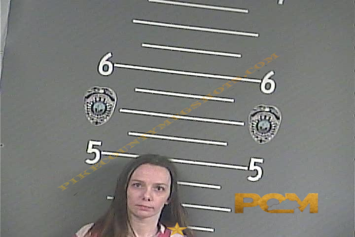 BRIANA H HUNTER booking photo