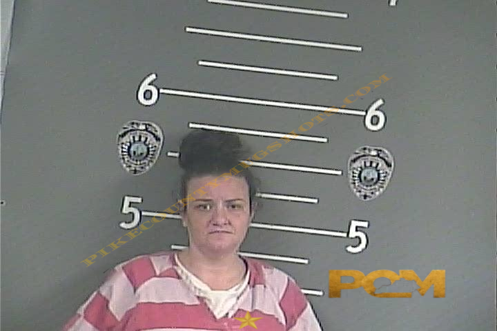ELIZABETH L BOYCE booking photo