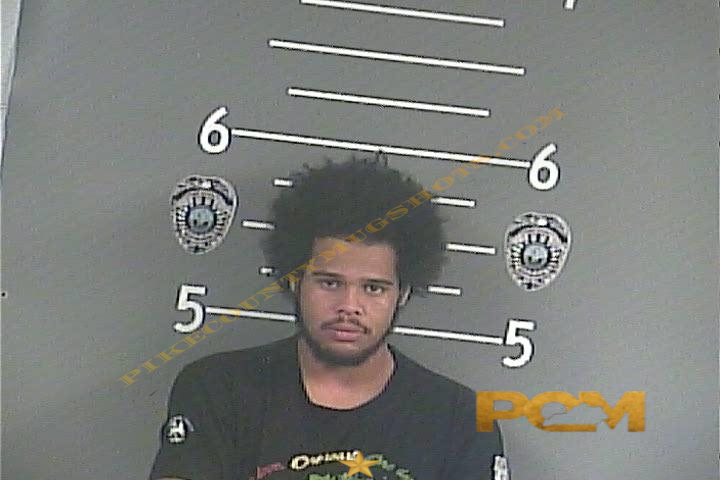 JAYDEN D JACKSON booking photo