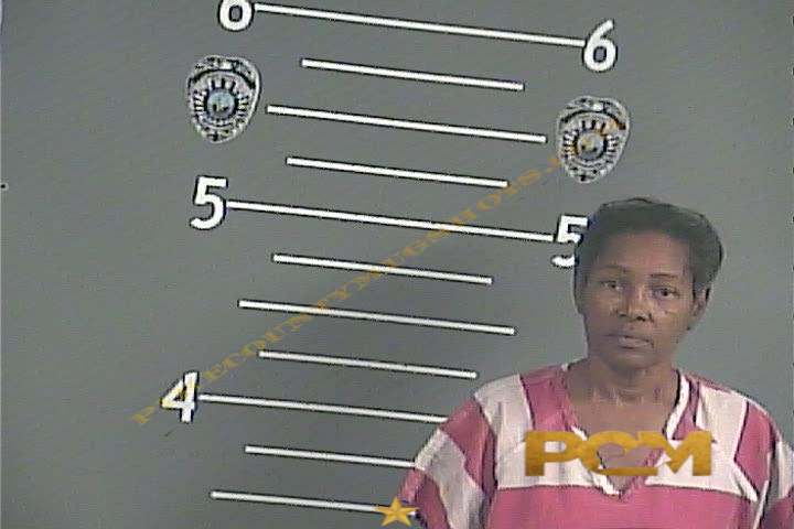 KATHLEEN A DUBOSE booking photo