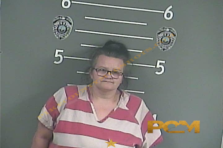 LISA M MAY booking photo