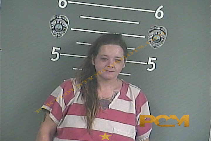 CRYSTAL R COOK booking photo