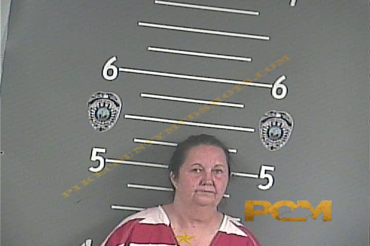 DEDRA A SHEPHERD booking photo