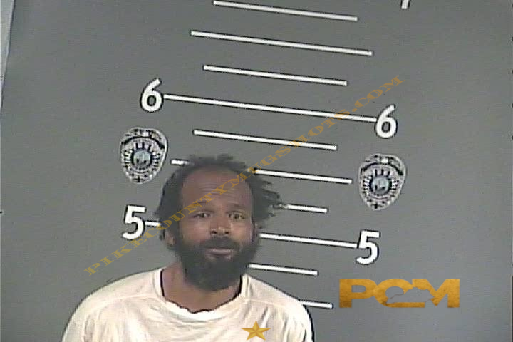 MARCHANE A TURNER booking photo