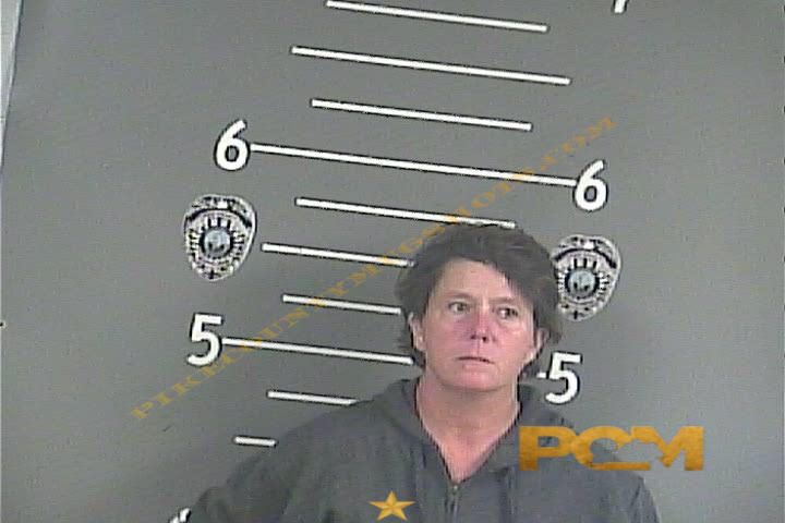 LISA . ROSS booking photo