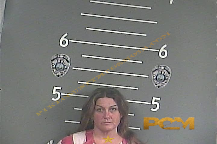 JENNIFER C LITTLE booking photo