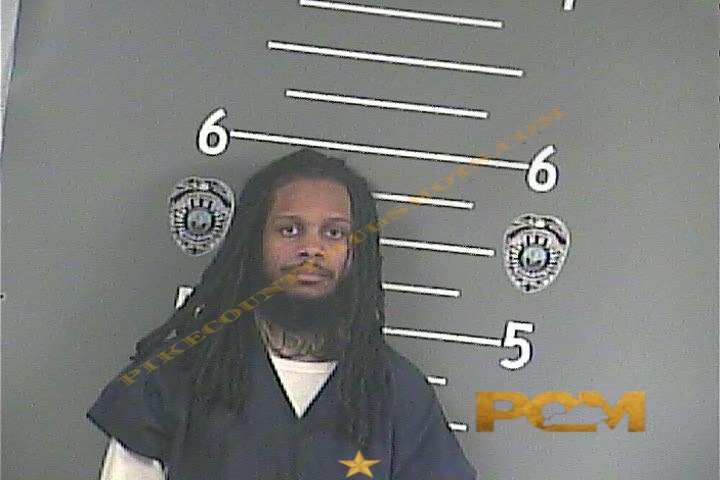 ANTHONY L FORD booking photo