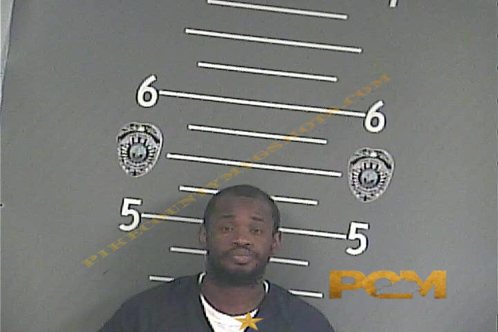 DAMIAN LEE WILLIAMS booking photo