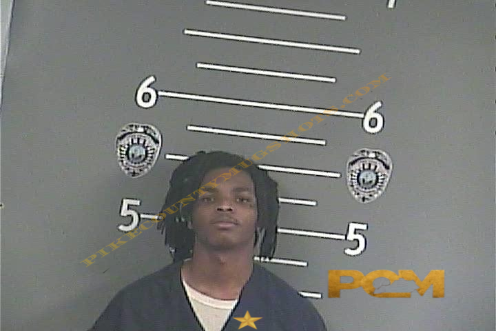LAURENS JEAN-FRANCOIS booking photo