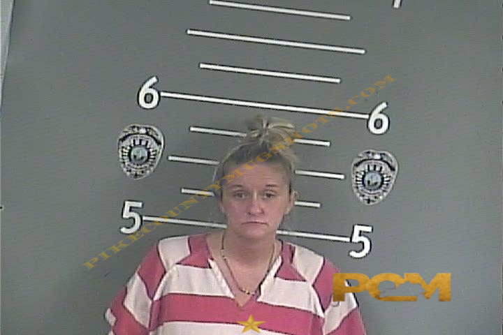 KRISTY L MULLINS booking photo