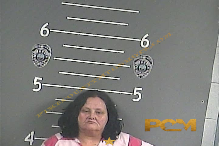 PAMELA S NIECE booking photo