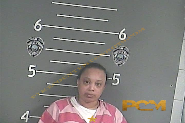 LISA M FARROW booking photo