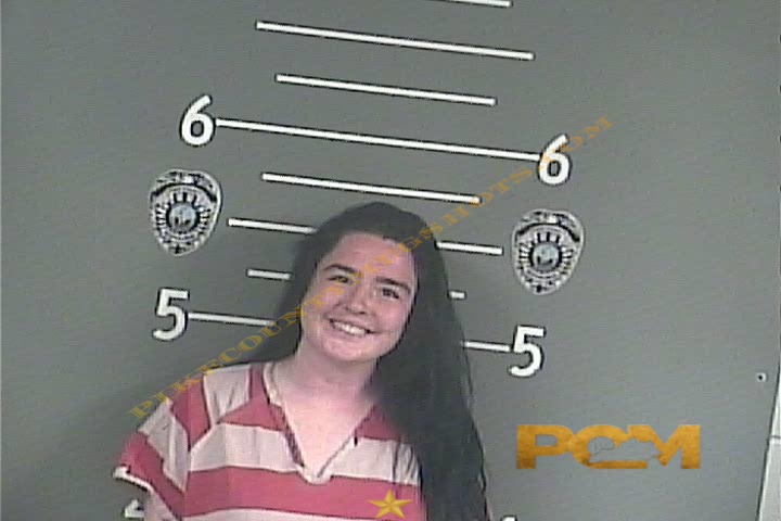 KRISTA . LITTLE booking photo