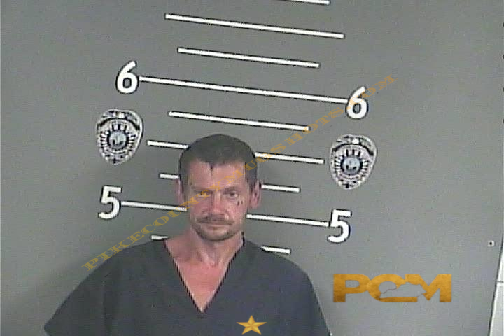KING D COLLINS booking photo