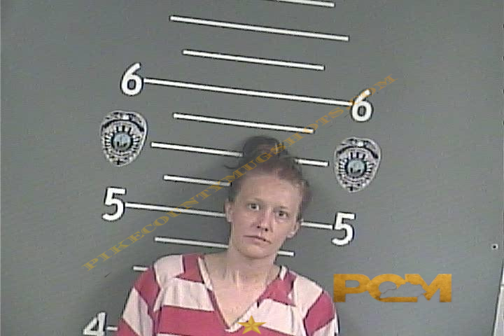 LAKESHA J NEWSOME booking photo