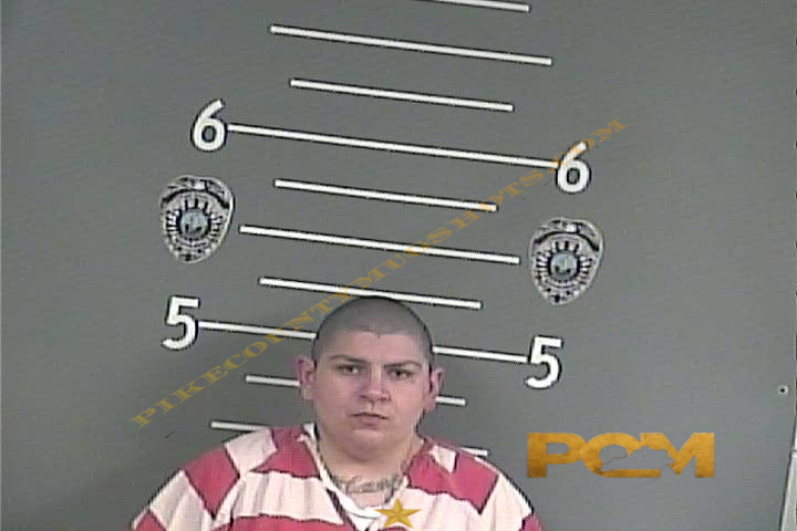 SARAH SUMMERS booking photo