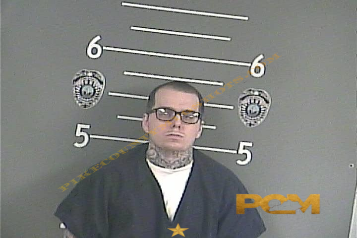 CHASE A WININGS booking photo