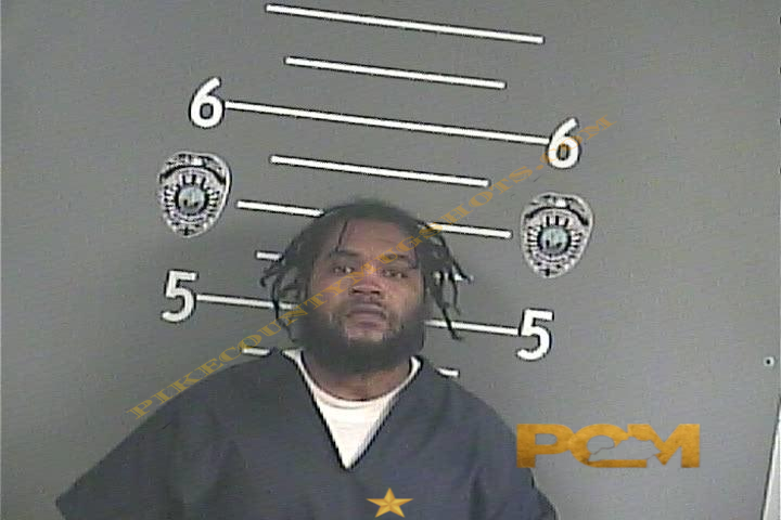 BRYAN T GREEN booking photo