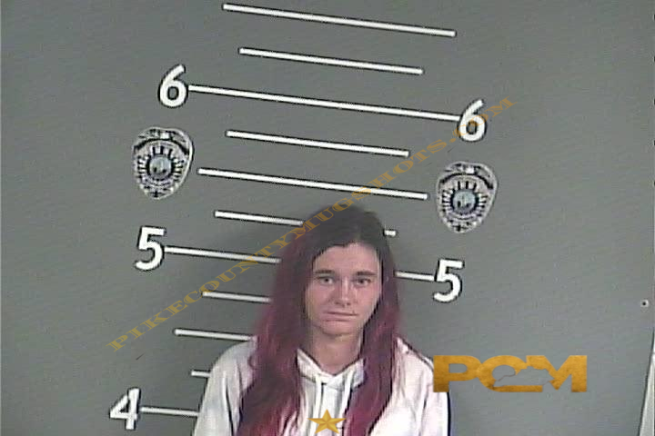 SARA D STUMP booking photo
