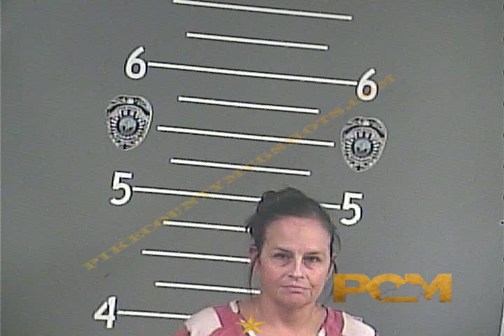 JUANITA F OWENS booking photo