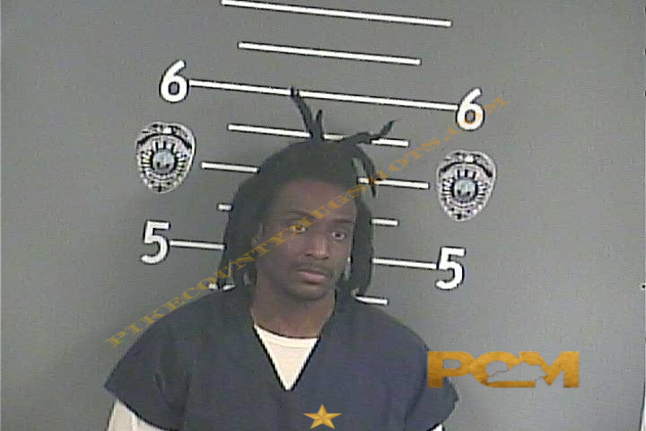 TYKE'EKE M HINES booking photo
