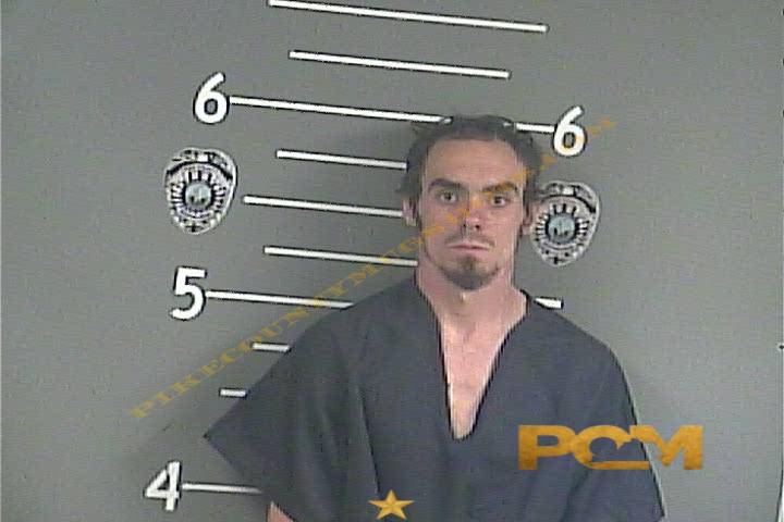 THOMAS A BEVINS booking photo