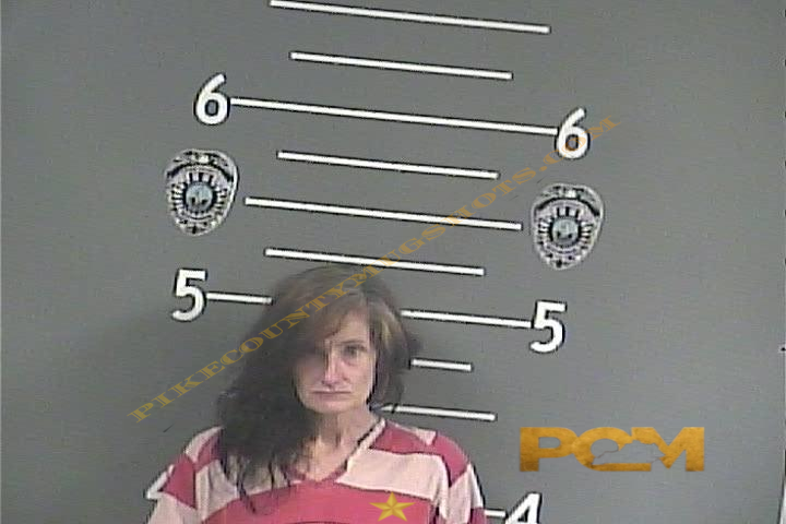 AMANDA L MILLER booking photo