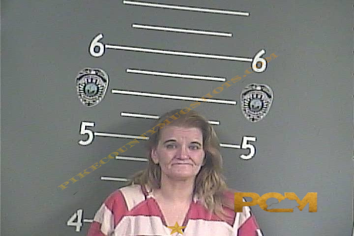 TINA M ADKINS booking photo