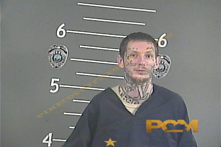 AUSTIN B BURCHFIELD booking photo