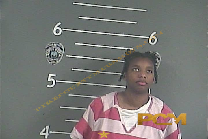 CIERRA C LEE booking photo