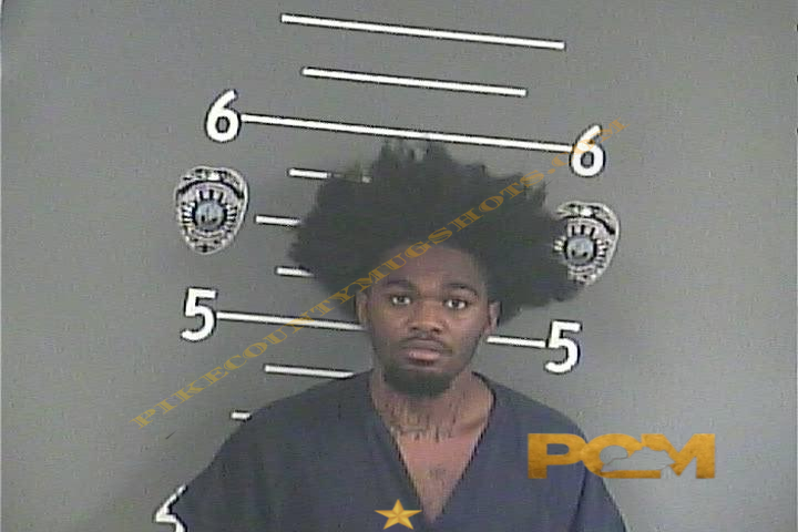 TAYVON C COLLINS booking photo