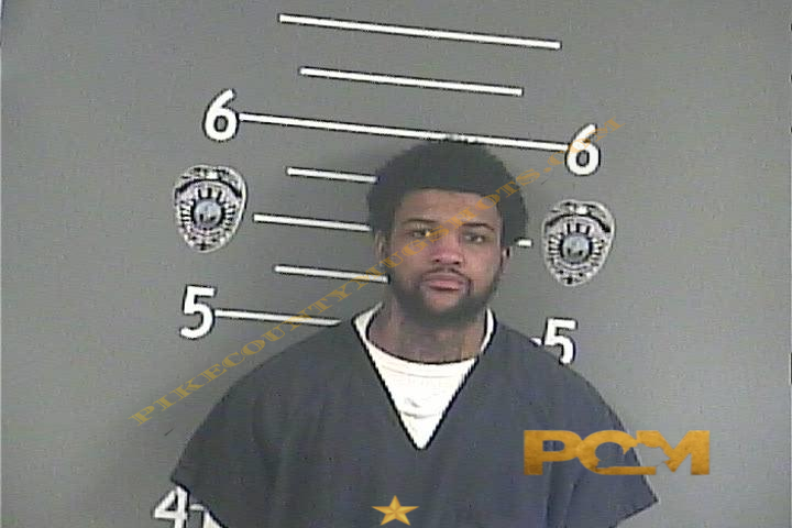 BRIAN JUNE PRATT booking photo
