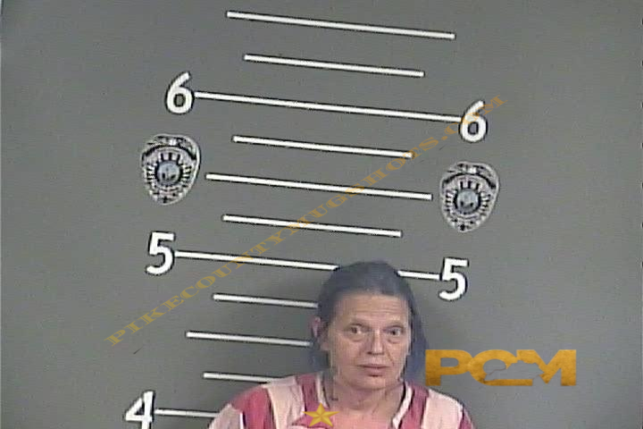 TERESA C POWERS booking photo