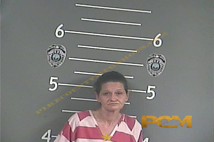 KRISTIE LYNN SMITH booking photo