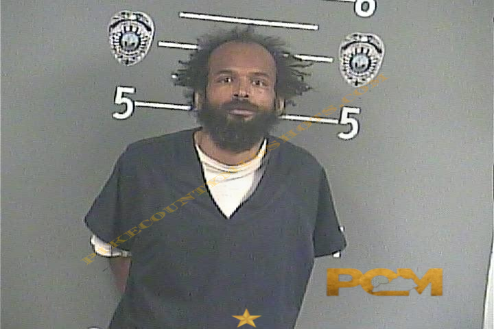 MARCHANE A TURNER booking photo