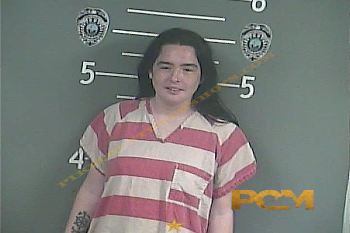KRISTA . LITTLE booking photo