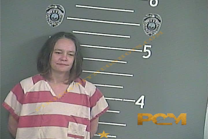 PAULA J CHILDRESS booking photo