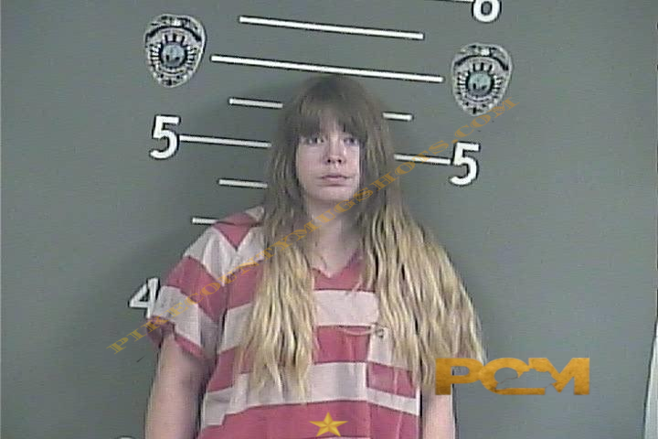 BRITTNEY ANNETTE DICKENS booking photo