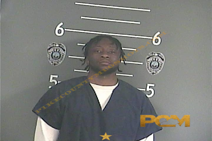 ISMALIA S CAMARA booking photo