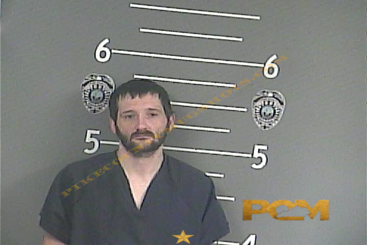 DENNIS R MULLINS booking photo