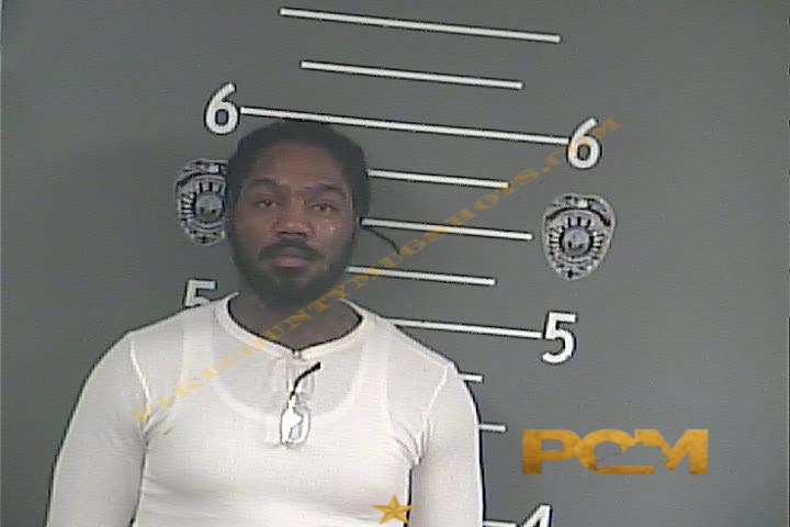 MIKE . SCOTT booking photo