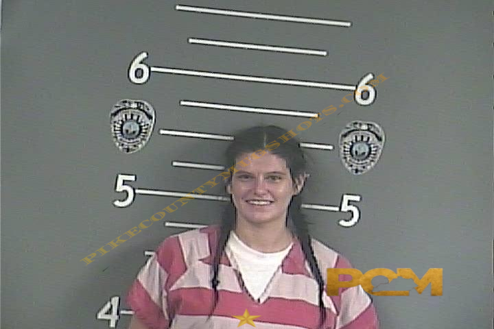 ASHLEY H BLEVINS booking photo